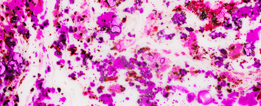 Frozen Ink, Failed Prints: How Cold Weather Can Ruin Your DTF Results