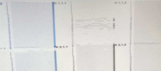 Why Is My DTF Printer Producing an Inconsistent Nozzle Check?
